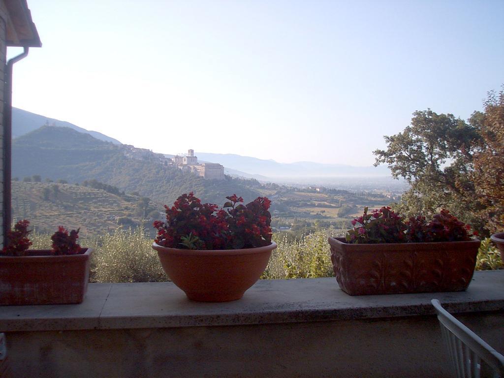 B&B Colle San Francesco Assisi Eksteriør billede