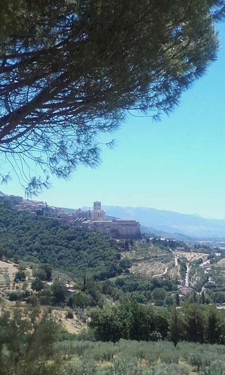 B&B Colle San Francesco Assisi Eksteriør billede