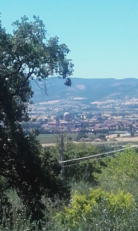 B&B Colle San Francesco Assisi Eksteriør billede