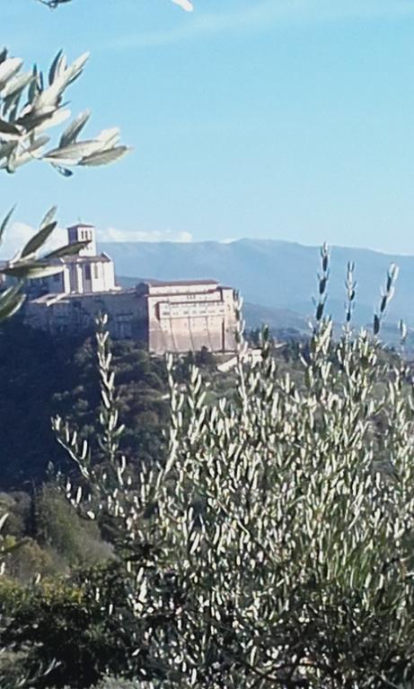 B&B Colle San Francesco Assisi Eksteriør billede