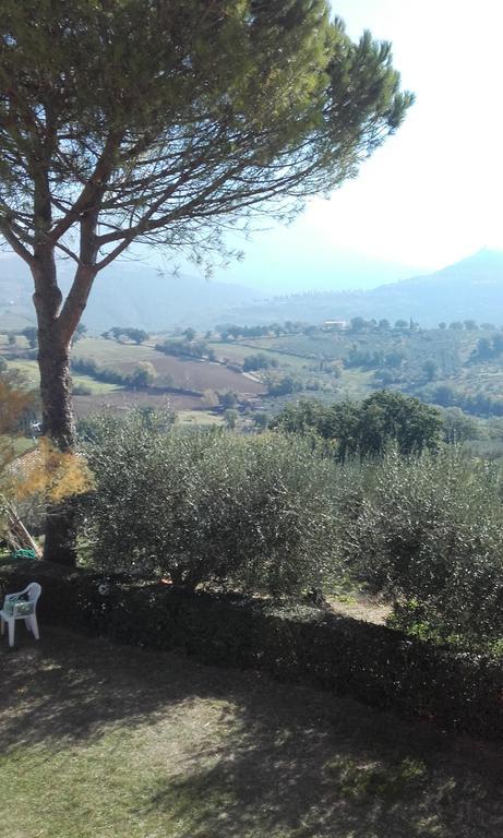 B&B Colle San Francesco Assisi Eksteriør billede